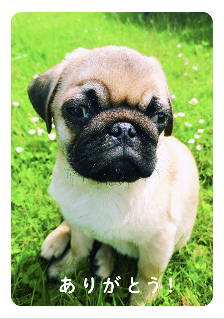 ありがとうポスター