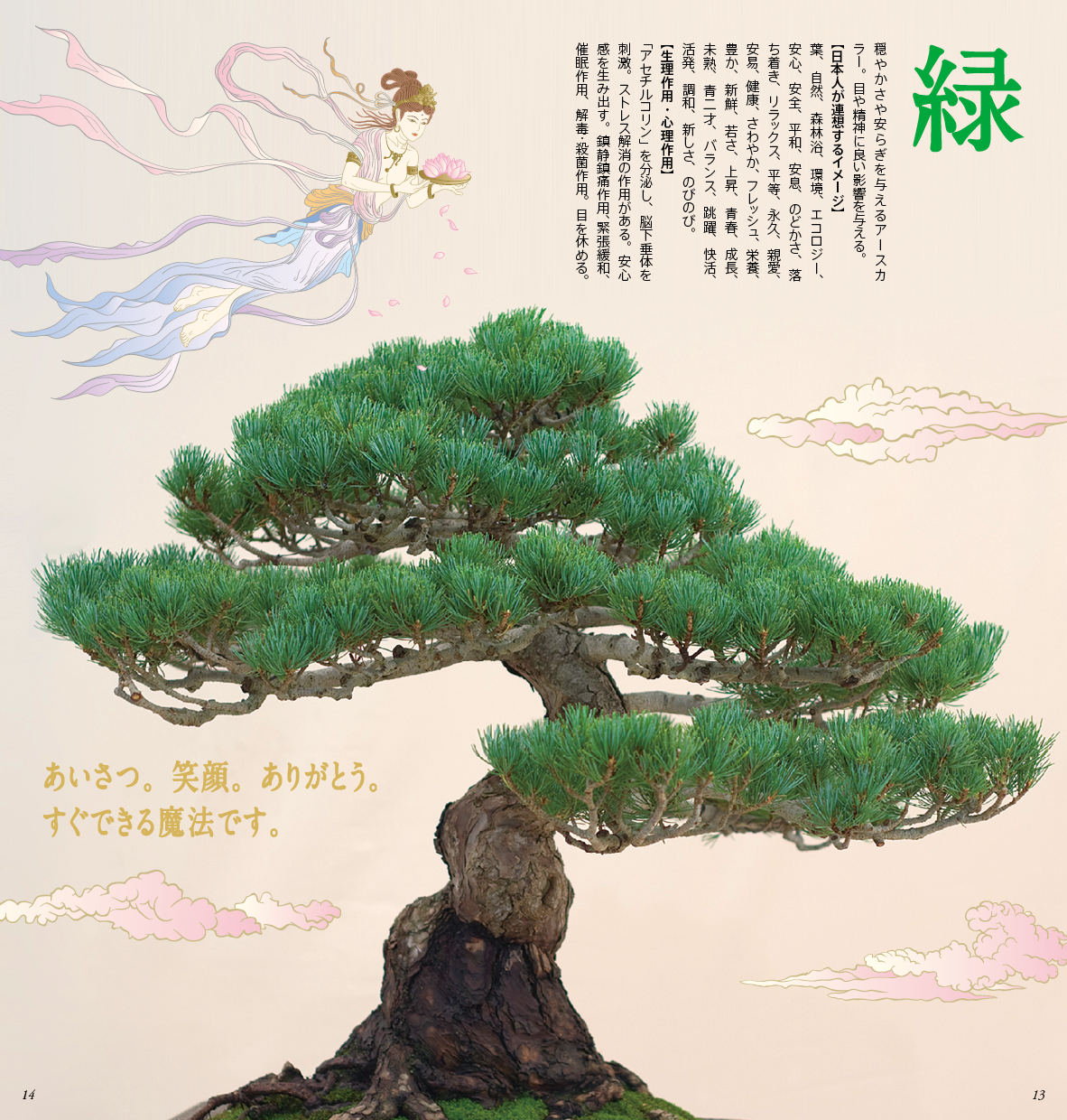 小野デザインカタログ