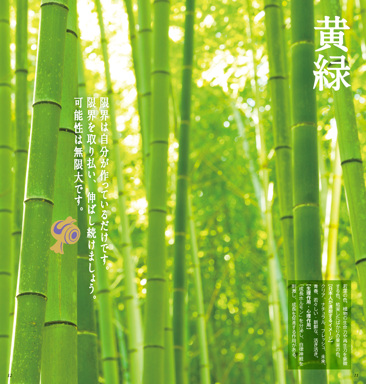 小野デザインカタログ